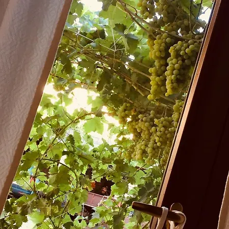 ベッド・アンド・ブレックファスト イル ポルティコ